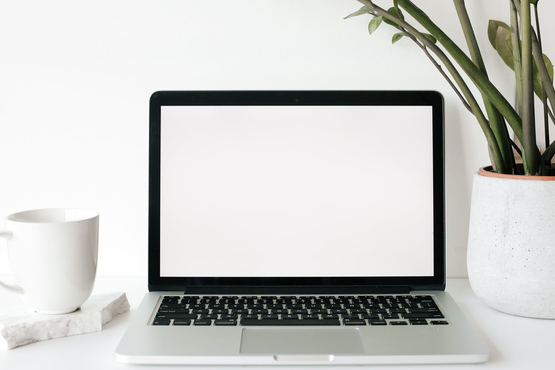 close up shot of a laptop beside a mug and plant on a white table